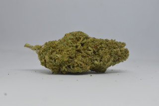 CBD kvety - Jet Fuel Hydro 5g 